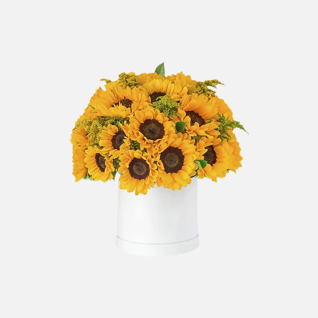 Caja de 18 girasoles