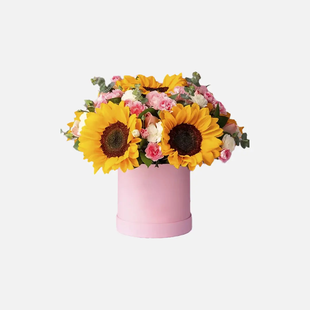 Caja de 8 girasoles