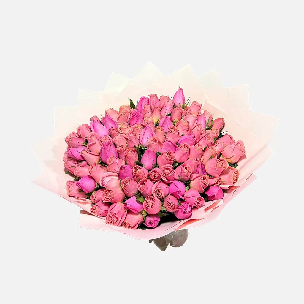 Ramo de 100 Rosas Rosas