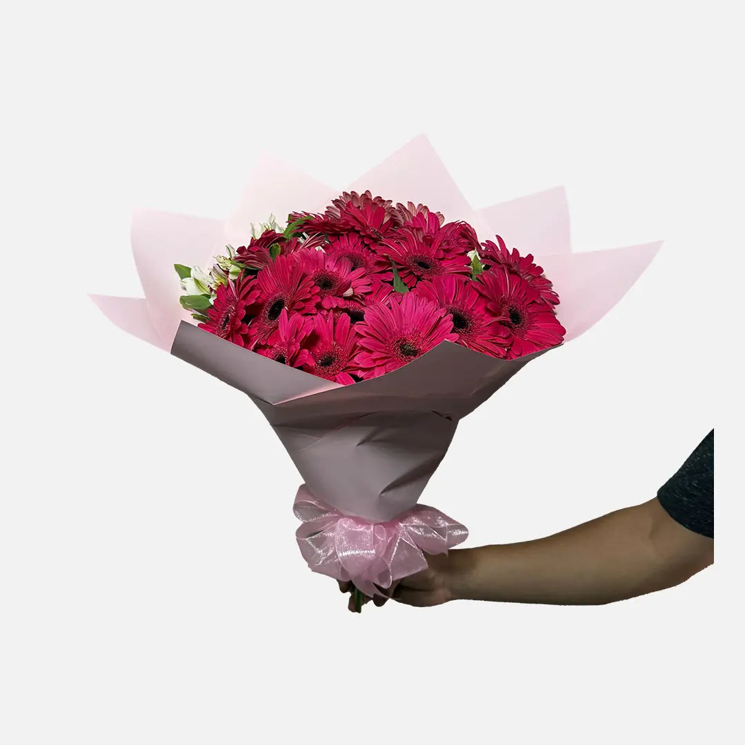 Ramo de 20 Gerberas