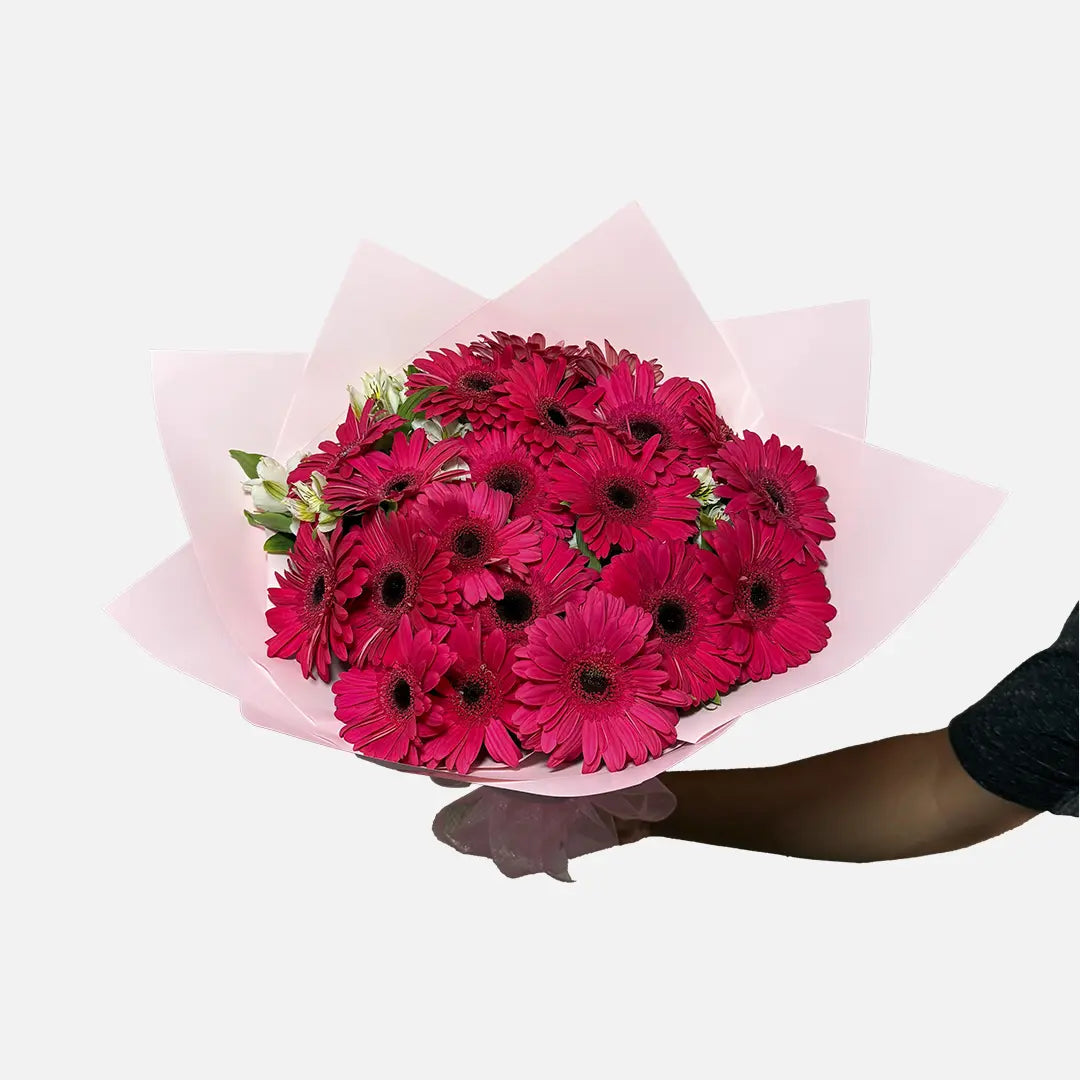Ramo de 20 Gerberas