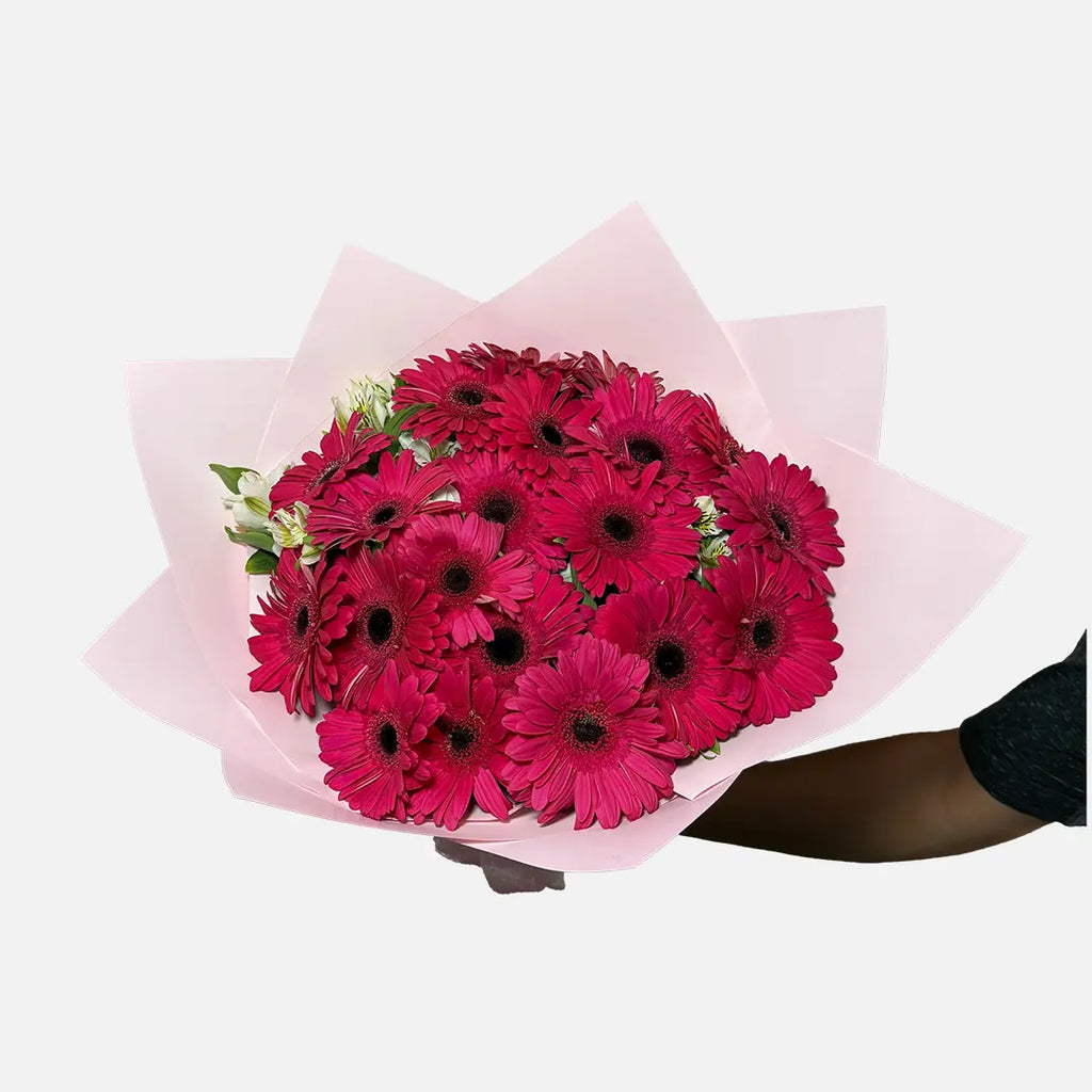 Bouquet of 20 Gerberas