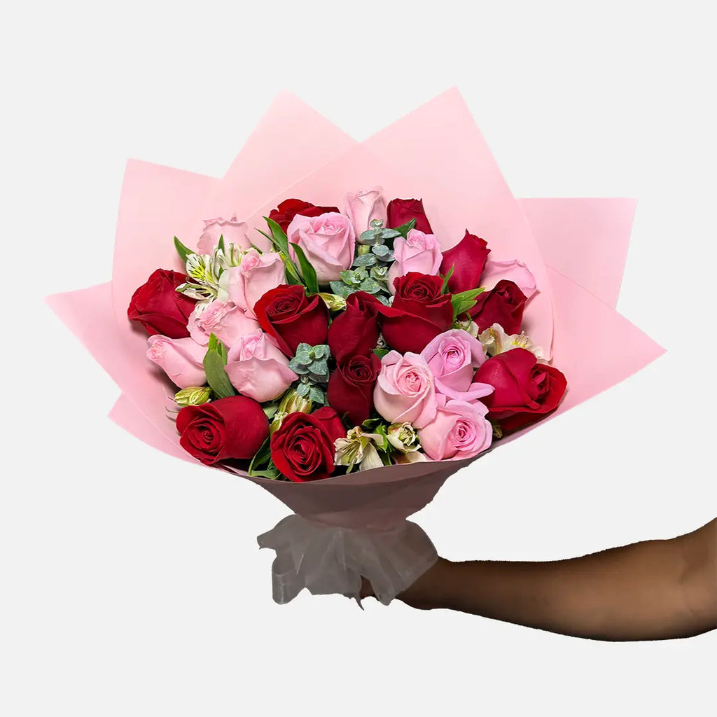 Ramo de 24 rosas en color rojo y rosa con follaje, envueltas en papel coreano rosa y moño blanco.