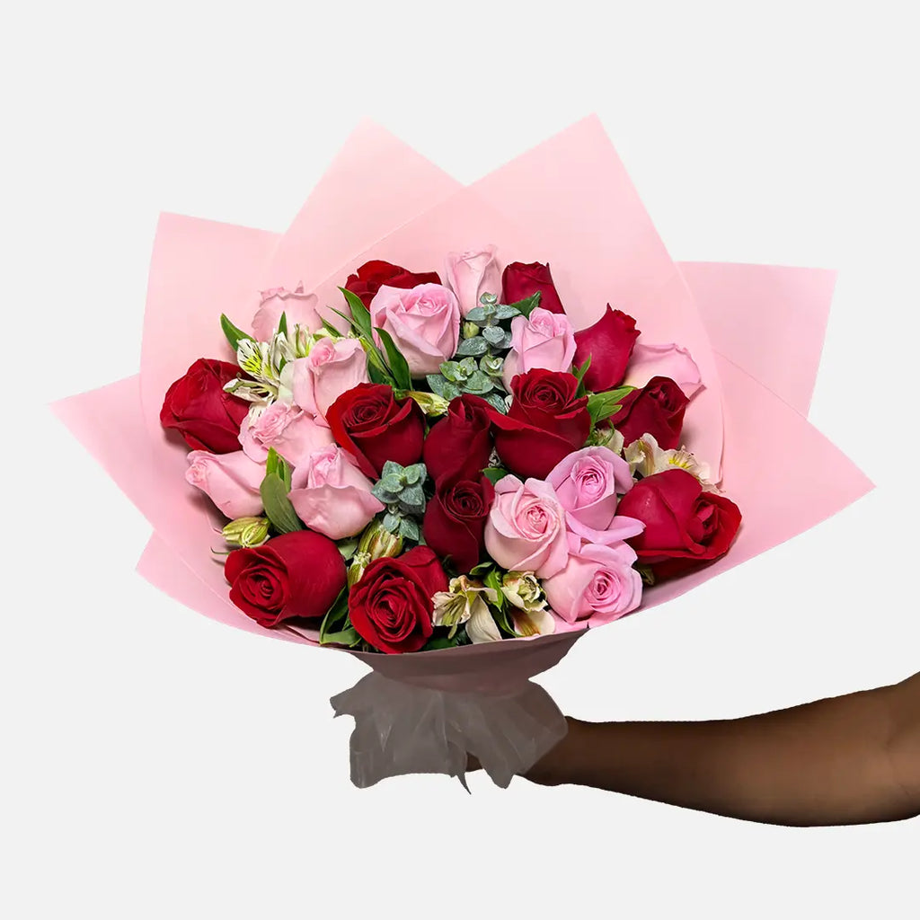 Ramo de 24 rosas en color rojo y rosa con follaje, envueltas en papel coreano rosa y moño blanco.